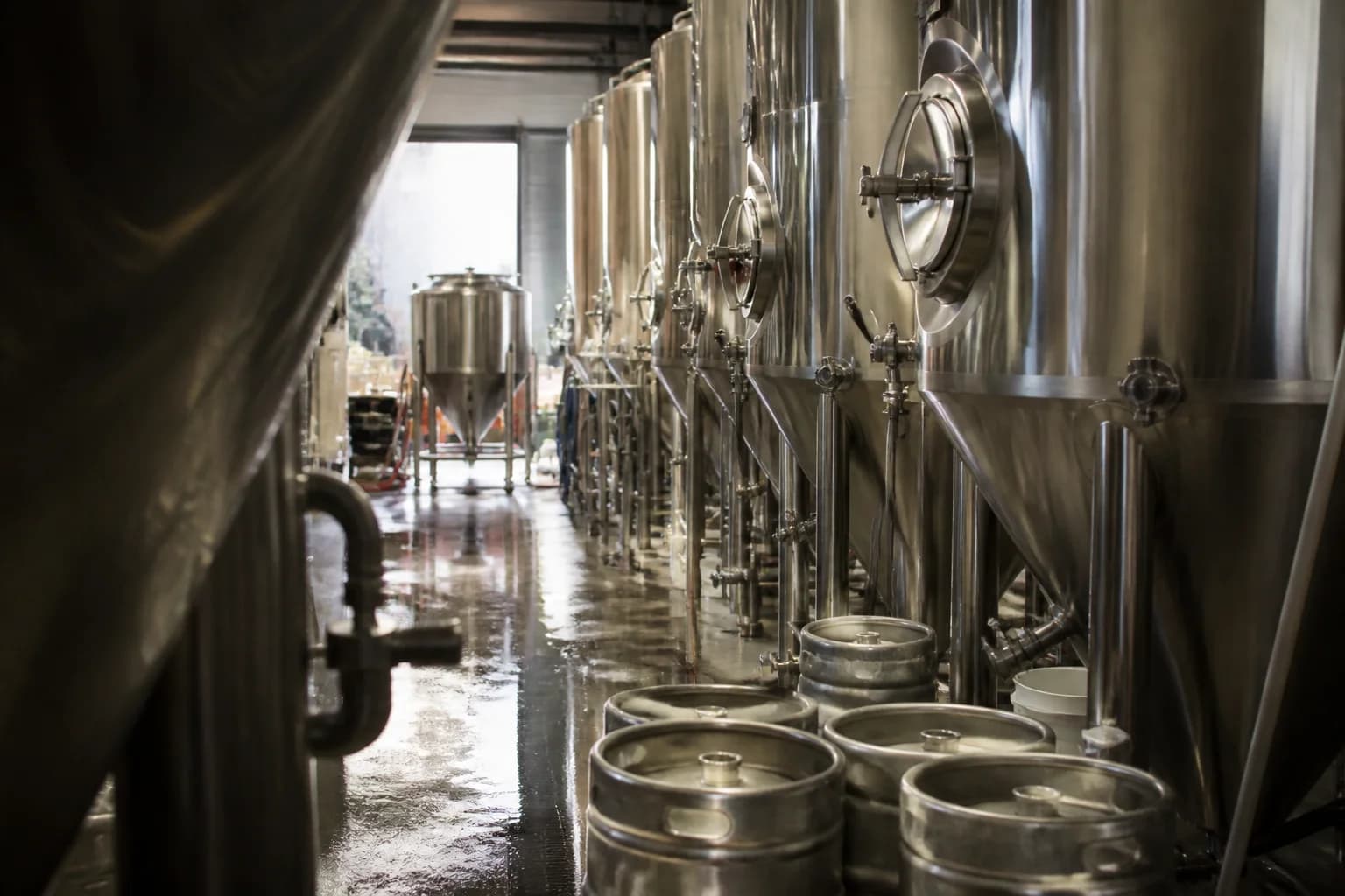 Vancouver Island Craft Beer Scene Expansion 2026: Trends