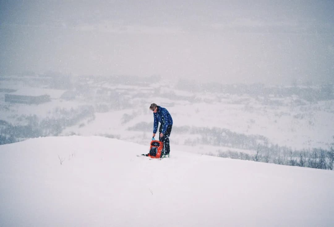 Cover Image for World Ski & Snowboard Festival 2026 Whistler Preview