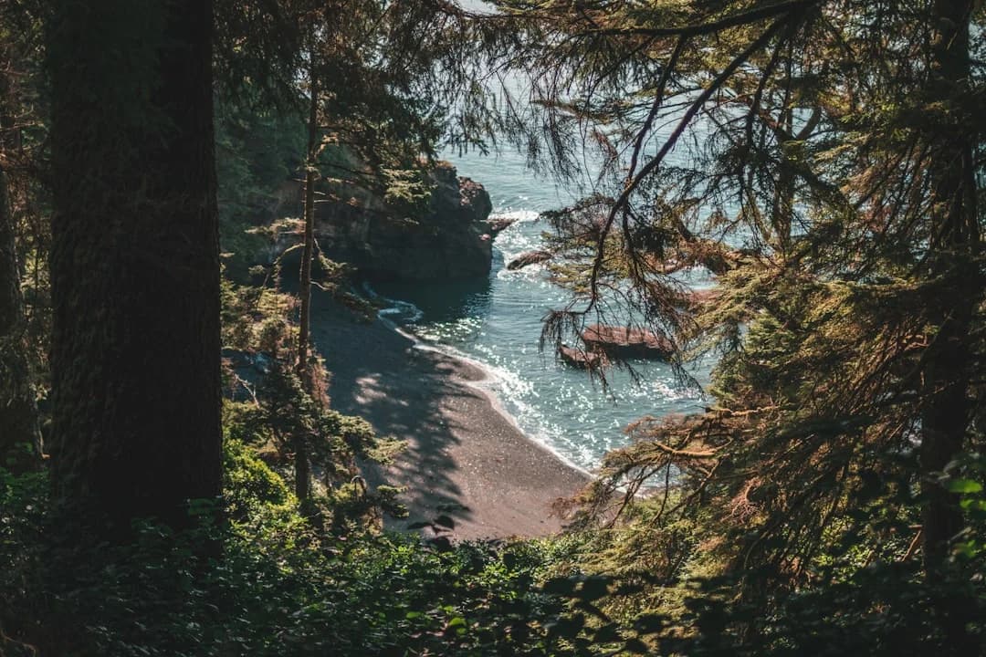 Cover Image for Regenerative Tourism Vancouver Island: a New Blueprint