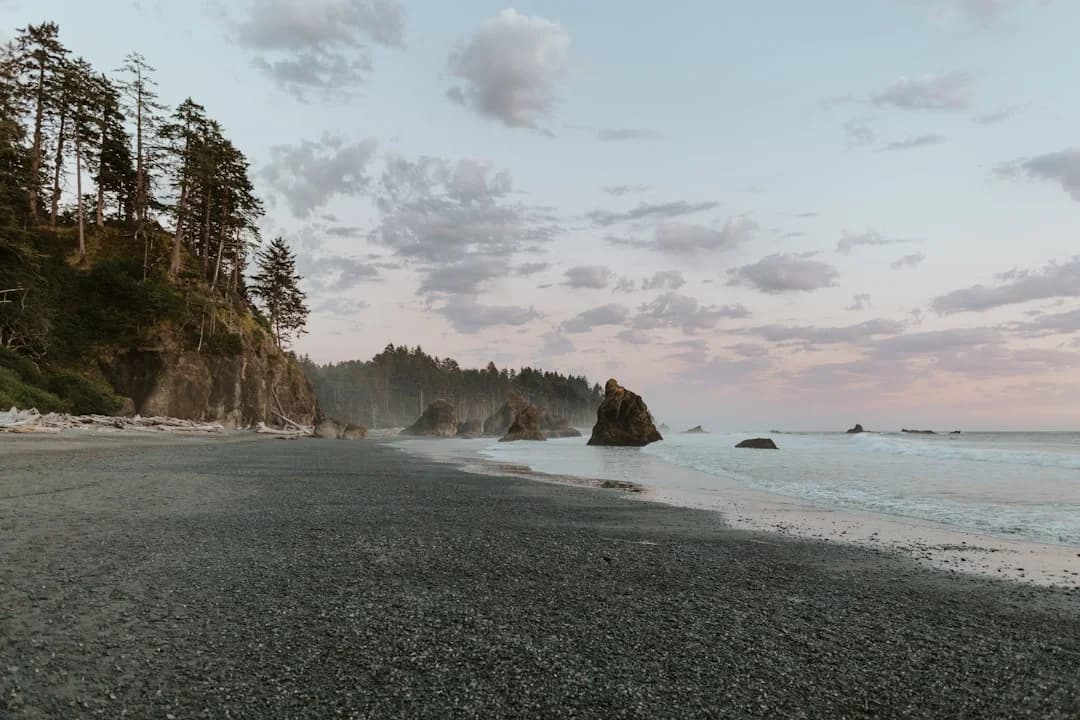 Cover Image for Nature-based Coastal Resilience BC & Pacific Northwest 2026