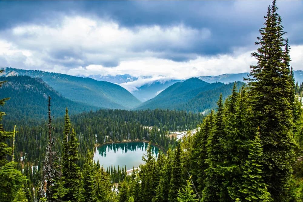 Cover Image for Pacific Northwest environmental policy 2026: Tech Trends