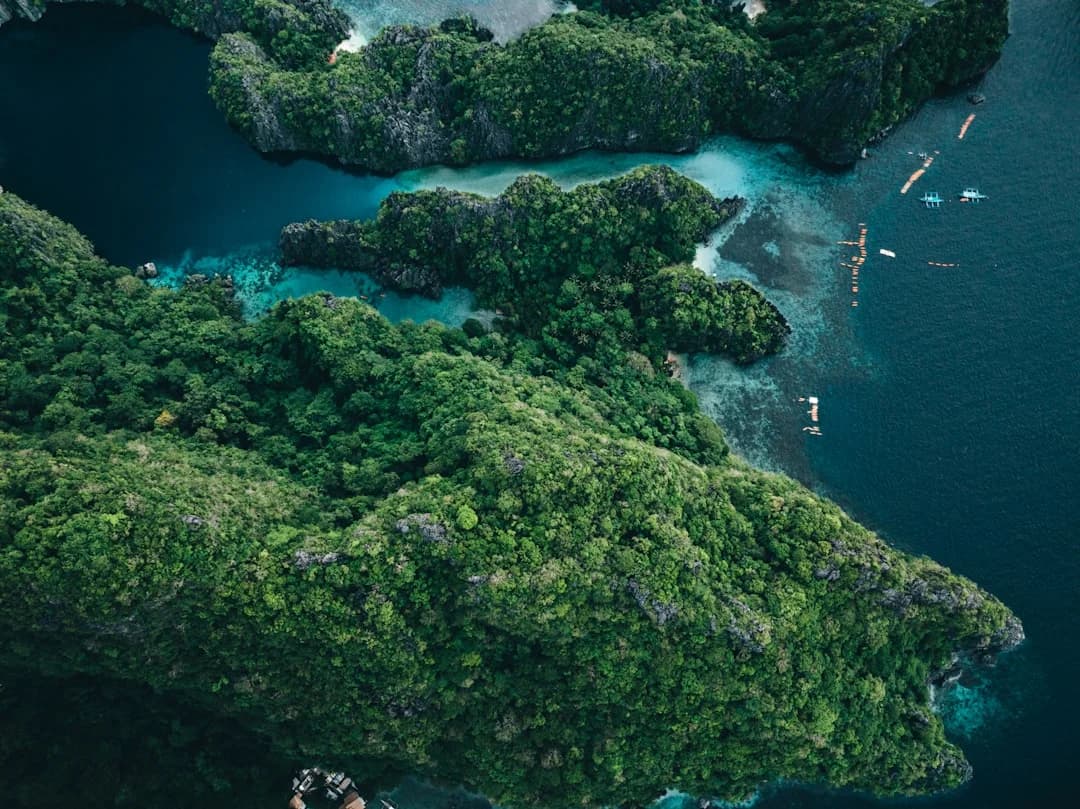 Cover Image for Victoria Green Tourism Boom 2026: Island Eco Travel