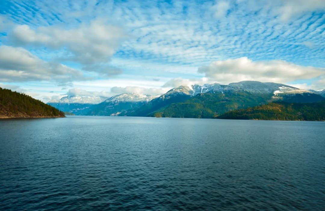 Cover Image for British Columbia Carbon Pricing Public Opinion 2026 Insights