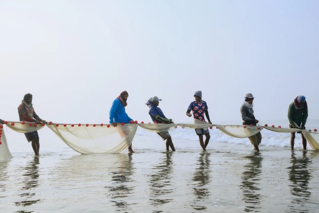 Cover Image for Indigenous-led Coastal Ecotourism and Fisheries Governance