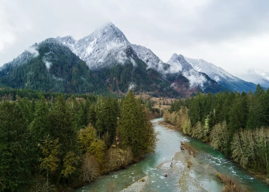 Cover Image for Pacific Northwest AI Data Sovereignty Policy Updates 2026