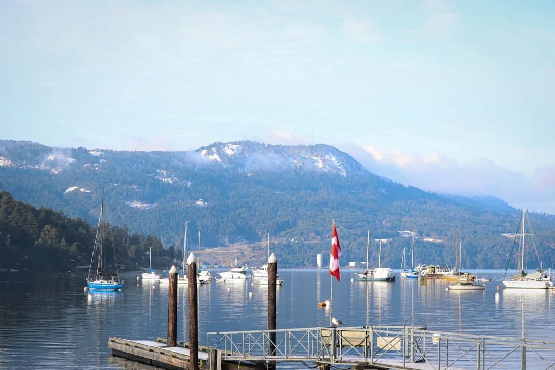 Cover Image for Pacific Rim Whale Festival Vancouver Island 2026 Returns