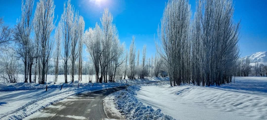 Cover Image for BC February 2026 heat records: Unseasonable Warmth Across BC