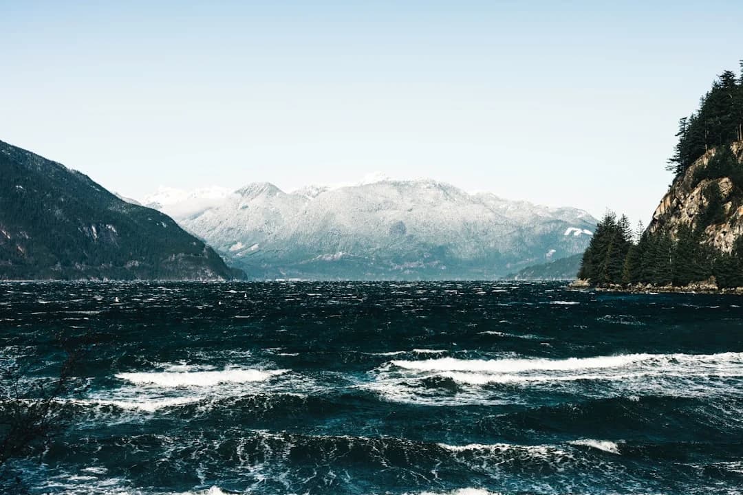 Cover Image for Pacific Salmon Strategy Initiative Funding Extension BC 2026