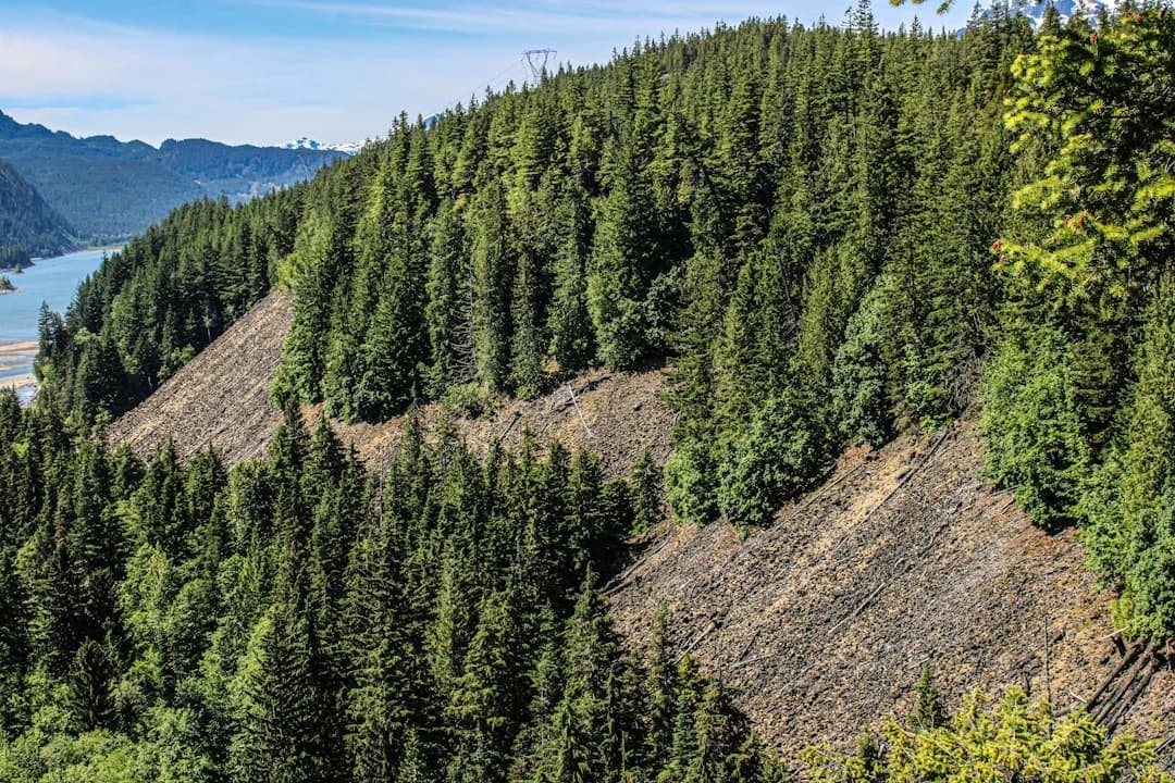 Cover Image for British Columbia Wildfire Season 2026 Drought Outlook
