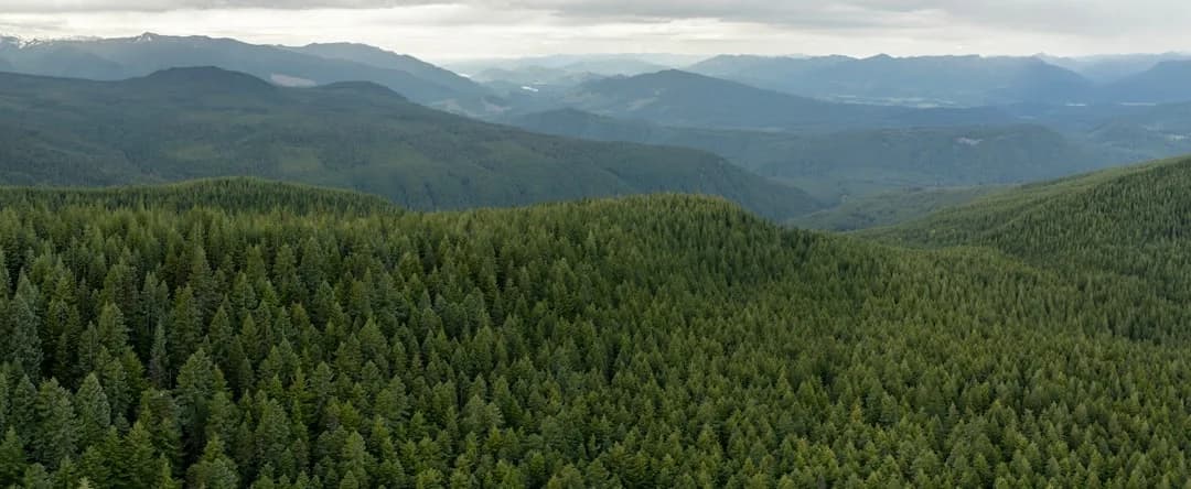 Cover Image for BC and Pacific Northwest environmental policy 2026: Trends